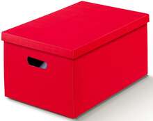 Caja para almacenamiento  : Cajas