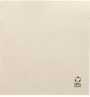 Imagen del producto Servilletas recicladas de doble punto 