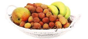 Imagen del producto Frutero de polipropileno 