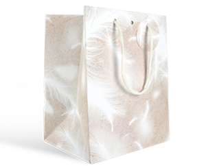 Imagen del producto Bolsa Pluma