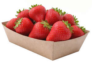 Imagen del producto bandejas de cartón