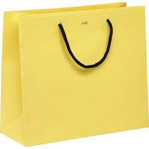 Imagen del producto Bolsa de papel con asas de papel negro