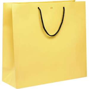 Imagen del producto Bolsa de papel con asas de papel negro