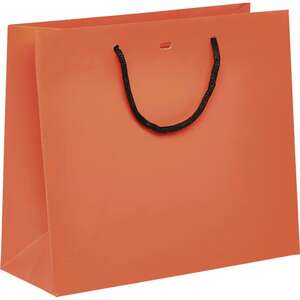 Imagen del producto Bolsa de papel con asas de papel negro