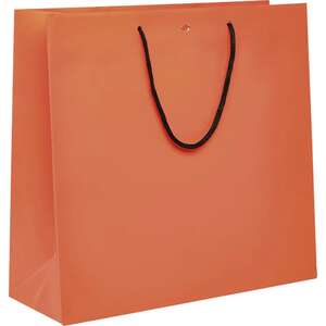 Imagen del producto Bolsa de papel con asas de papel negro