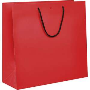 Imagen del producto Bolsa de papel con asas de papel negro