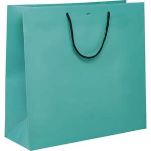 Imagen del producto Bolsa de papel con asas de papel negro
