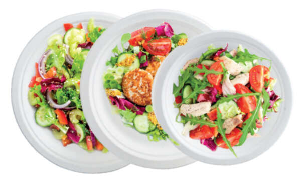 Imagen del producto Lote de 50 platos redondos 100 % naturales