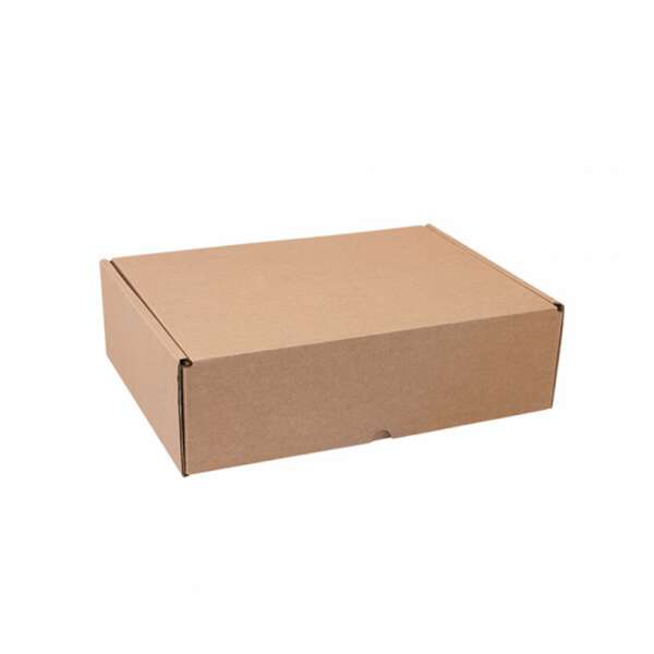 Imagen del producto Caja para envíos 25 x 15 x 10 cm
