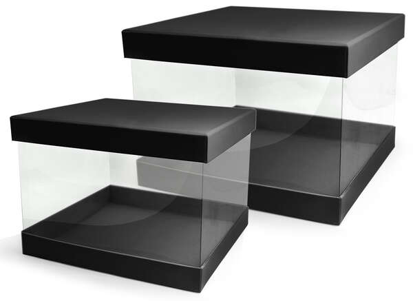 Imagen del producto Lote de 2 cajas Pandora trasparentes