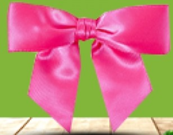 Imagen del producto Lazo de cinta satinada blanca 