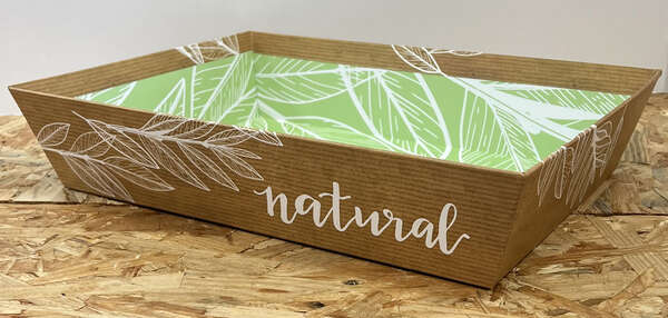 Imagen del producto Bandeja de cartón Hojas