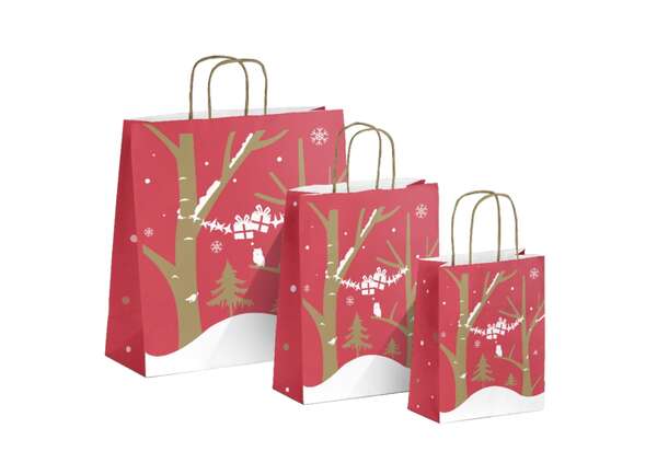 Imagen del producto Bolsa kraft 