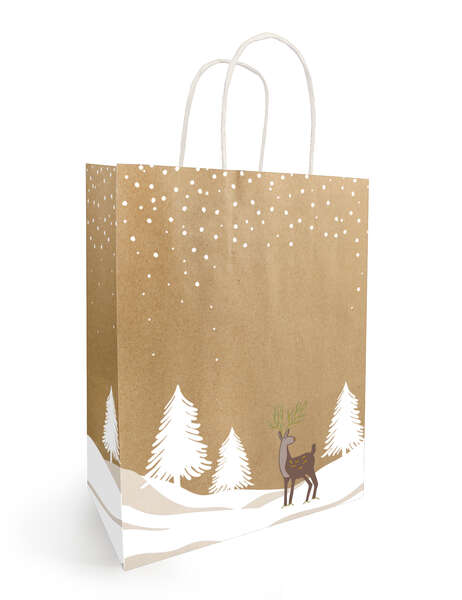 Imagen del producto Bolsa kraft 