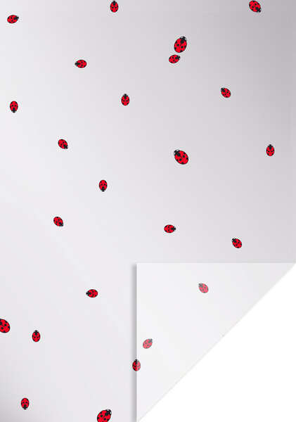 Imagen del producto Rollos de polipropileno 