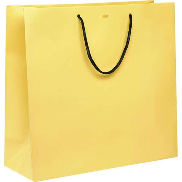 Imagen del producto Bolsa de papel con asas de papel negro