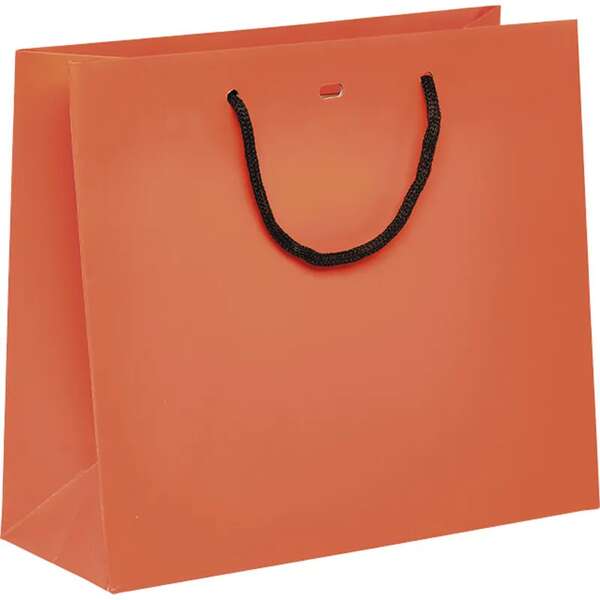 Imagen del producto bolsa de papel