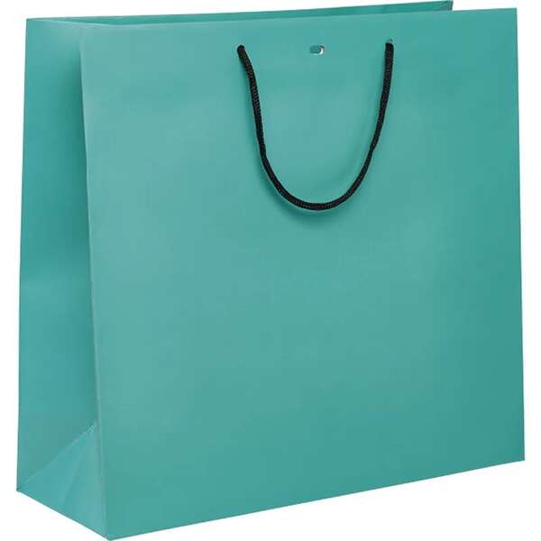 Imagen del producto Bolsa de papel con asas de papel negro